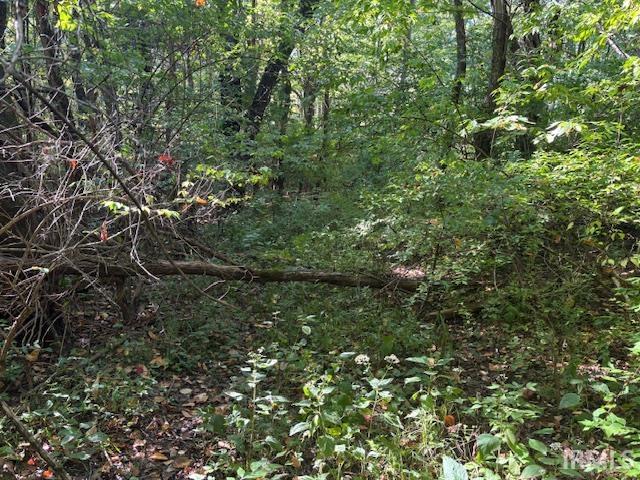 4554 Indiana 61 Highway