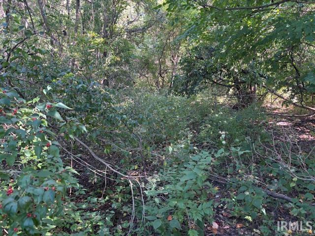 4554 Indiana 61 Highway