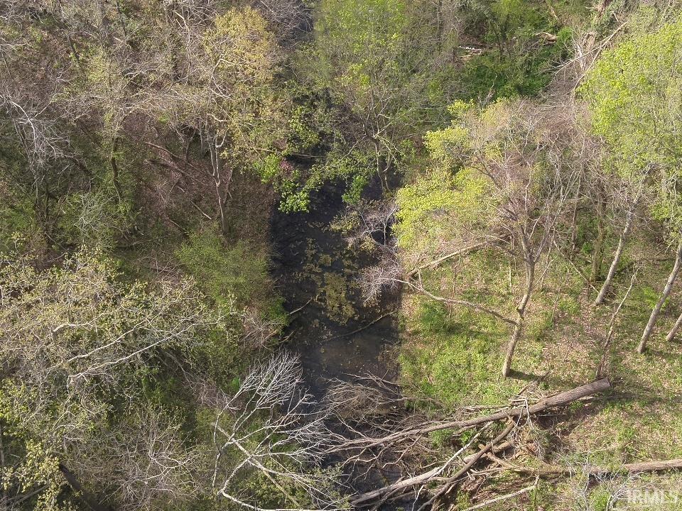 498 Dicksburg Hills Road