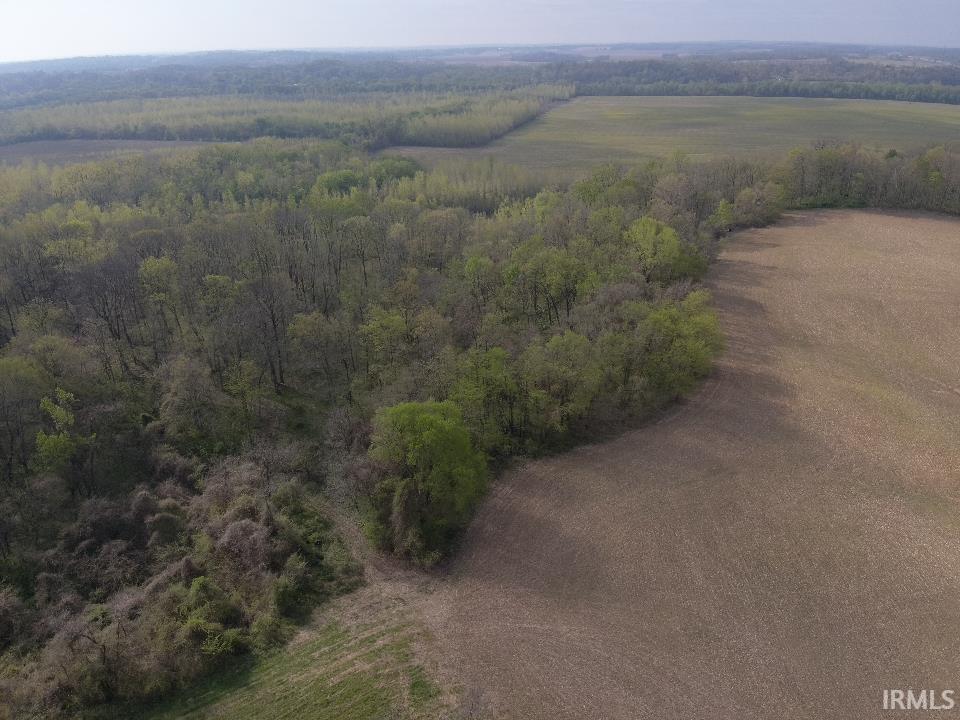 498 Dicksburg Hills Road