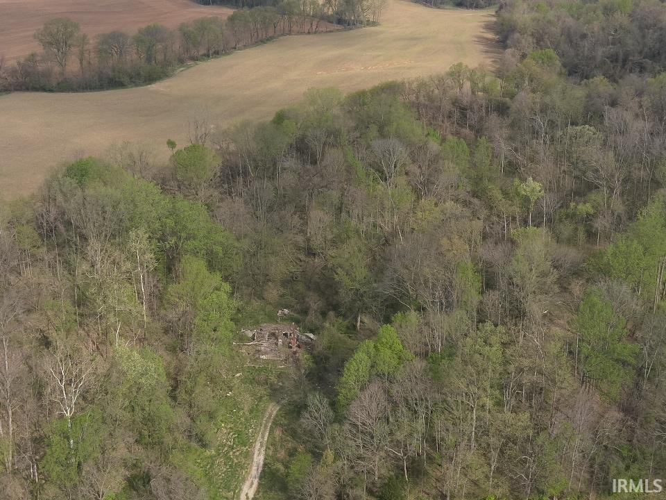 498 Dicksburg Hills Road