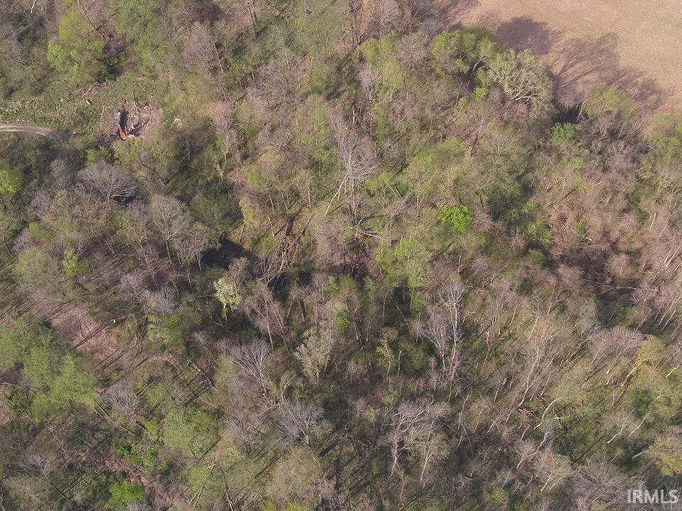 498 Dicksburg Hills Road