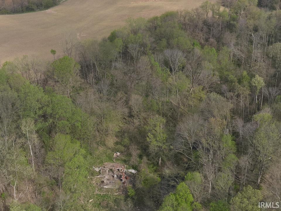 498 Dicksburg Hills Road