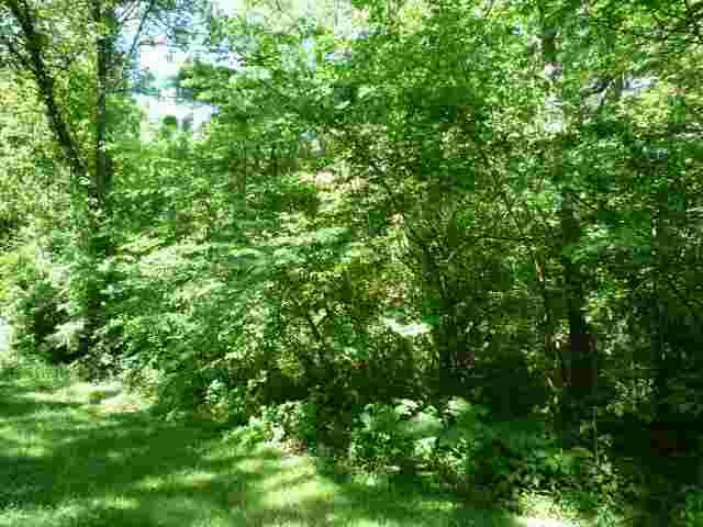 Lot 1 Lakewood Unit: 1