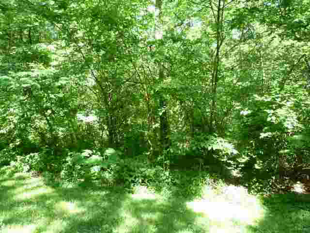 Lot 1 Lakewood Unit: 1