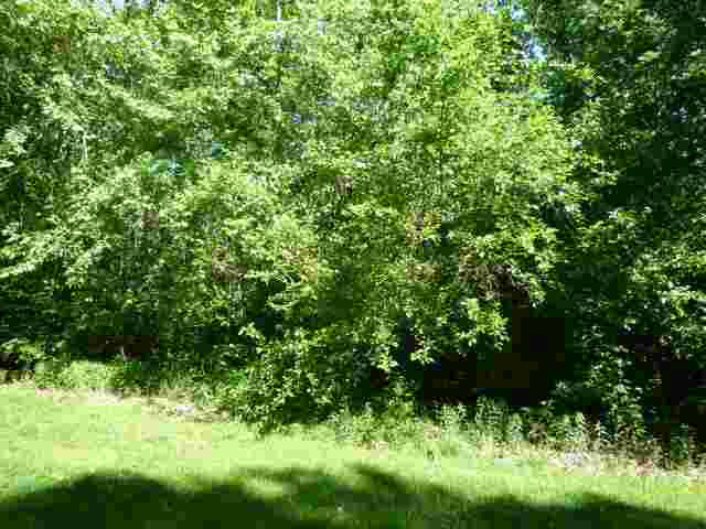 -Lot 2 Lakewood Unit: 2