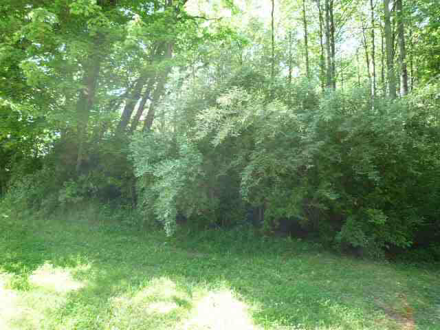 Lot 9 Lakewood Unit: 9