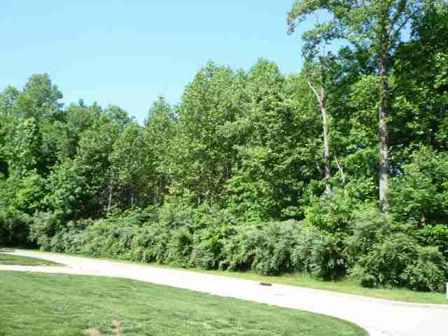 Lot 9 Lakewood Unit: 9
