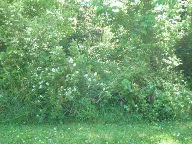 Lot 22 Lakewood Unit: 22