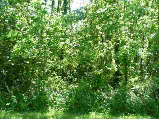 Lot 22 Lakewood Unit: 22