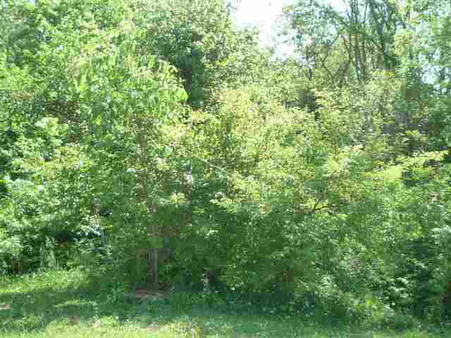 Lot 24 Lakewood Unit: 24