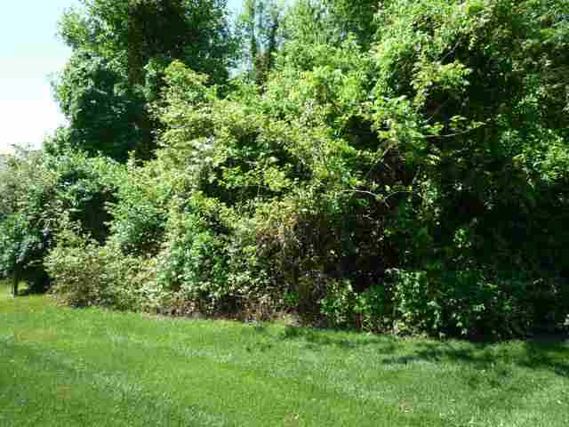 Lot 34 Lakewood Unit: 34