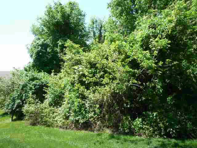 Lot 34 Lakewood Unit: 34