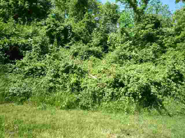 Lot 38 Lakewood Unit: 38