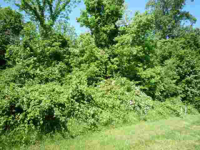 Lot 38 Lakewood Unit: 38