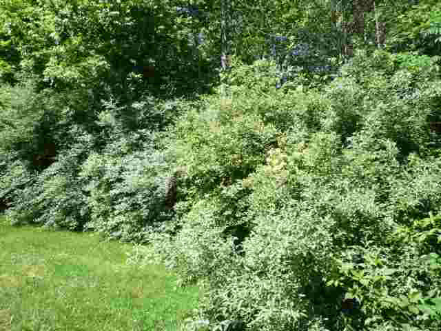 Lot 40 Lakewood Unit: 40