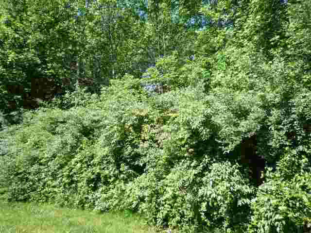 Lot 40 Lakewood Unit: 40