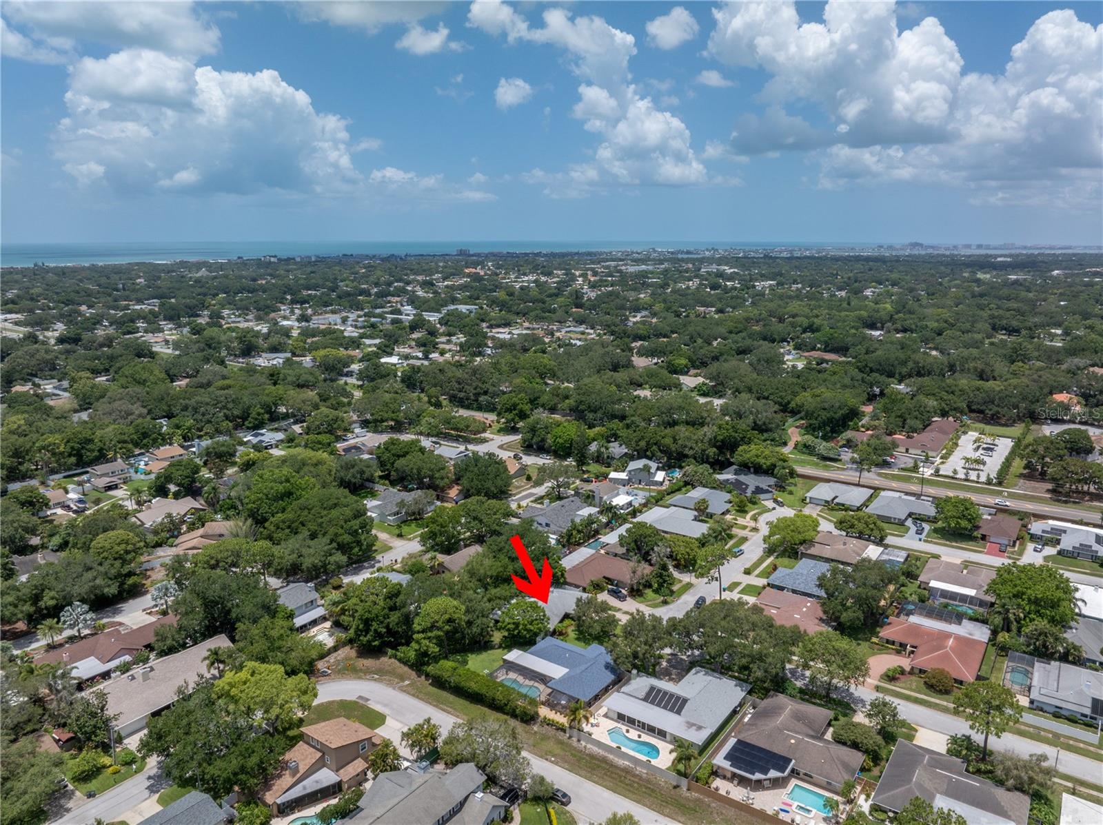 10008 LINDEN PLACE DR