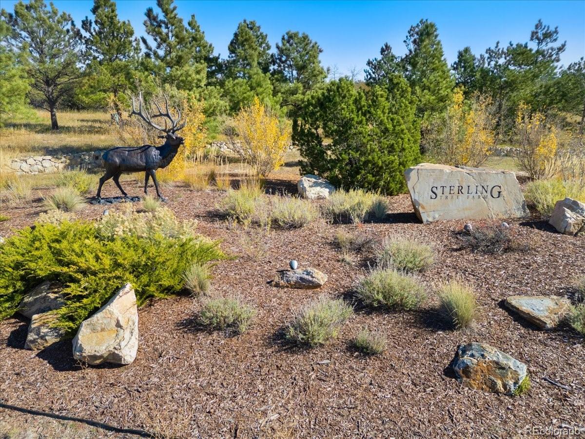 4637 Palmer Ridge Drive