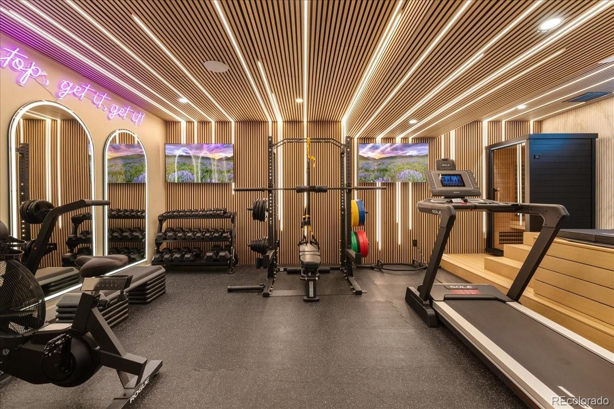 Custom home gym with cardio and strength equipment