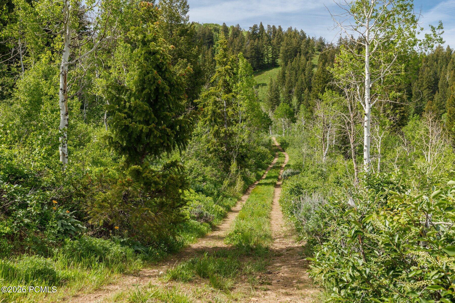 40 Sunridge Ranches