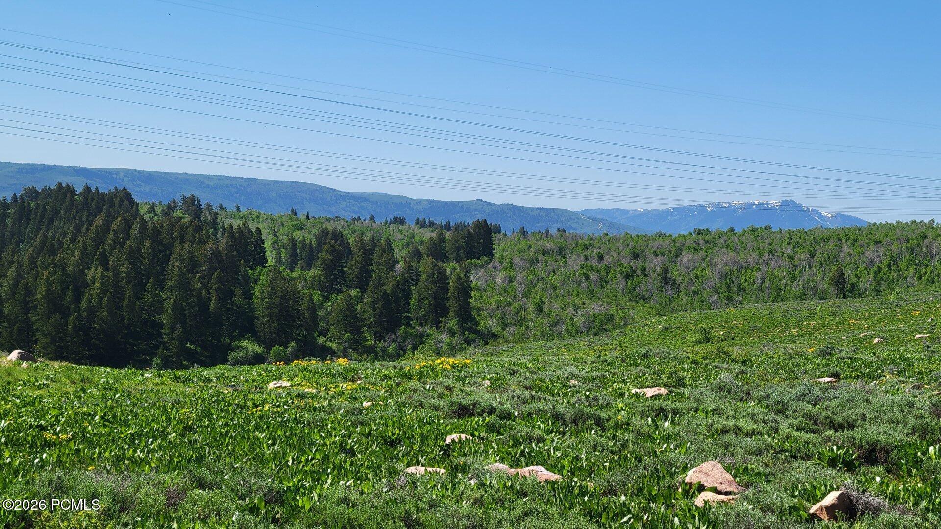 40 Sunridge Ranches