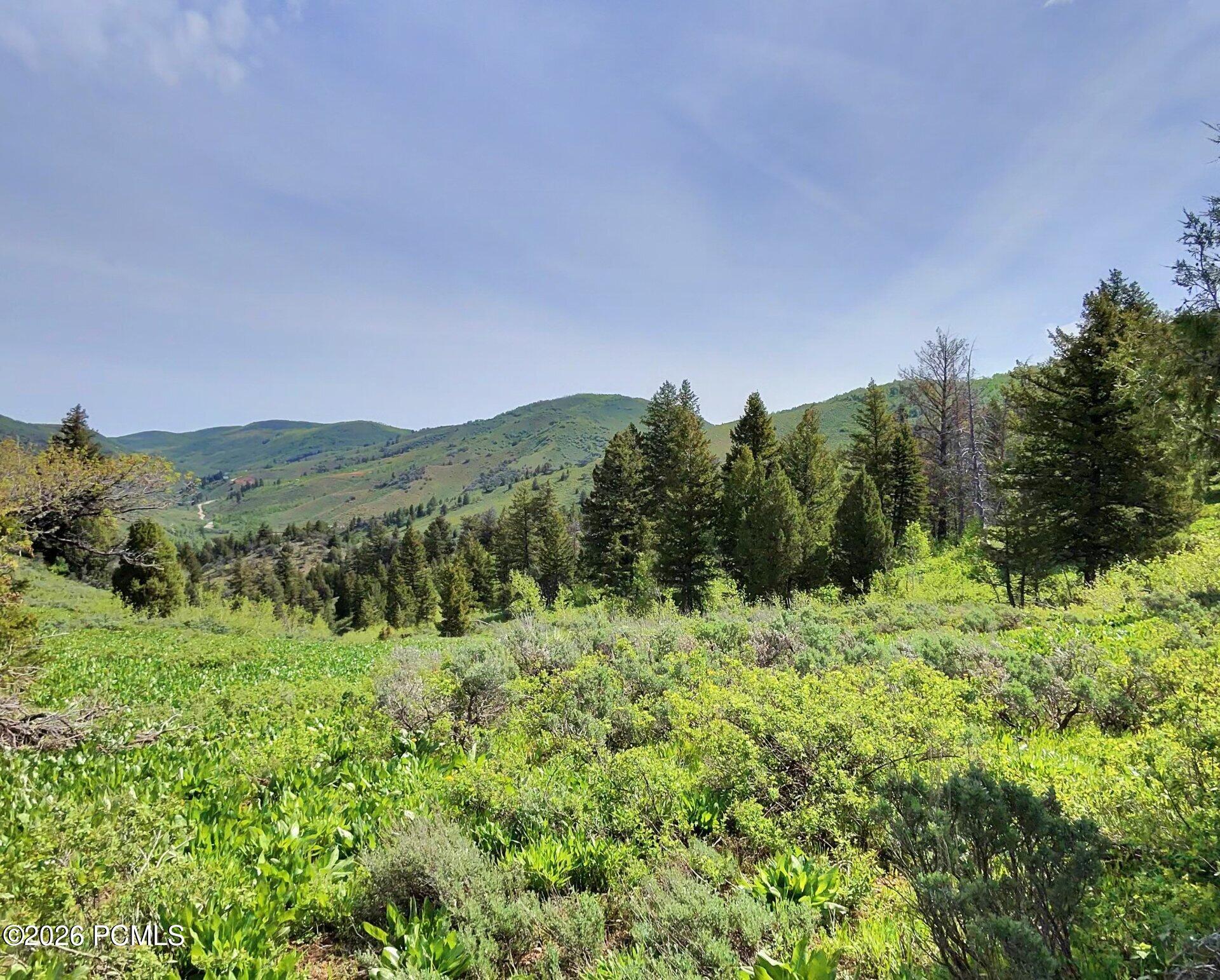 40 Sunridge Ranches