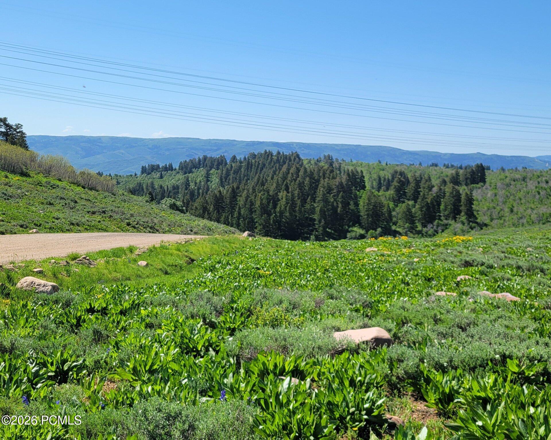 40 Sunridge Ranches