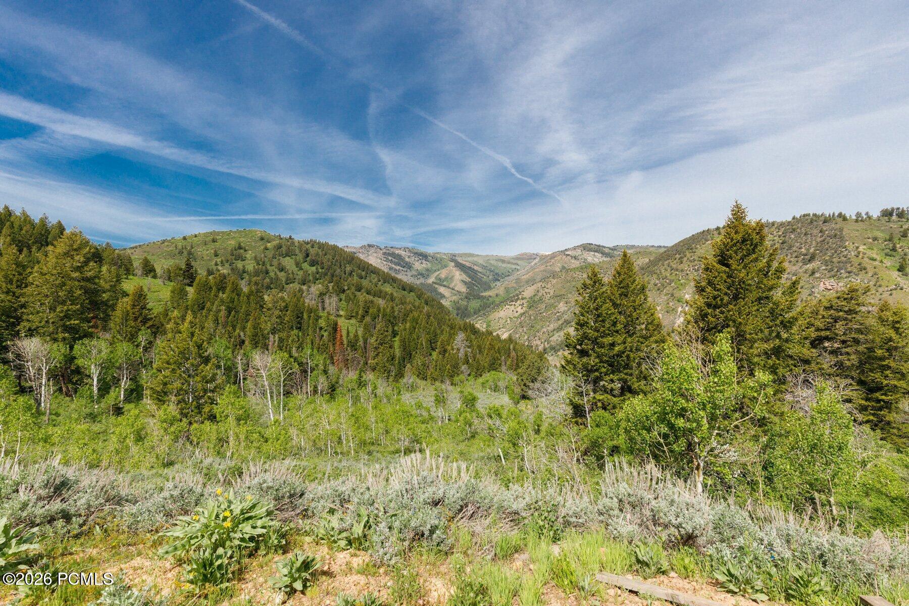 40 Sunridge Ranches