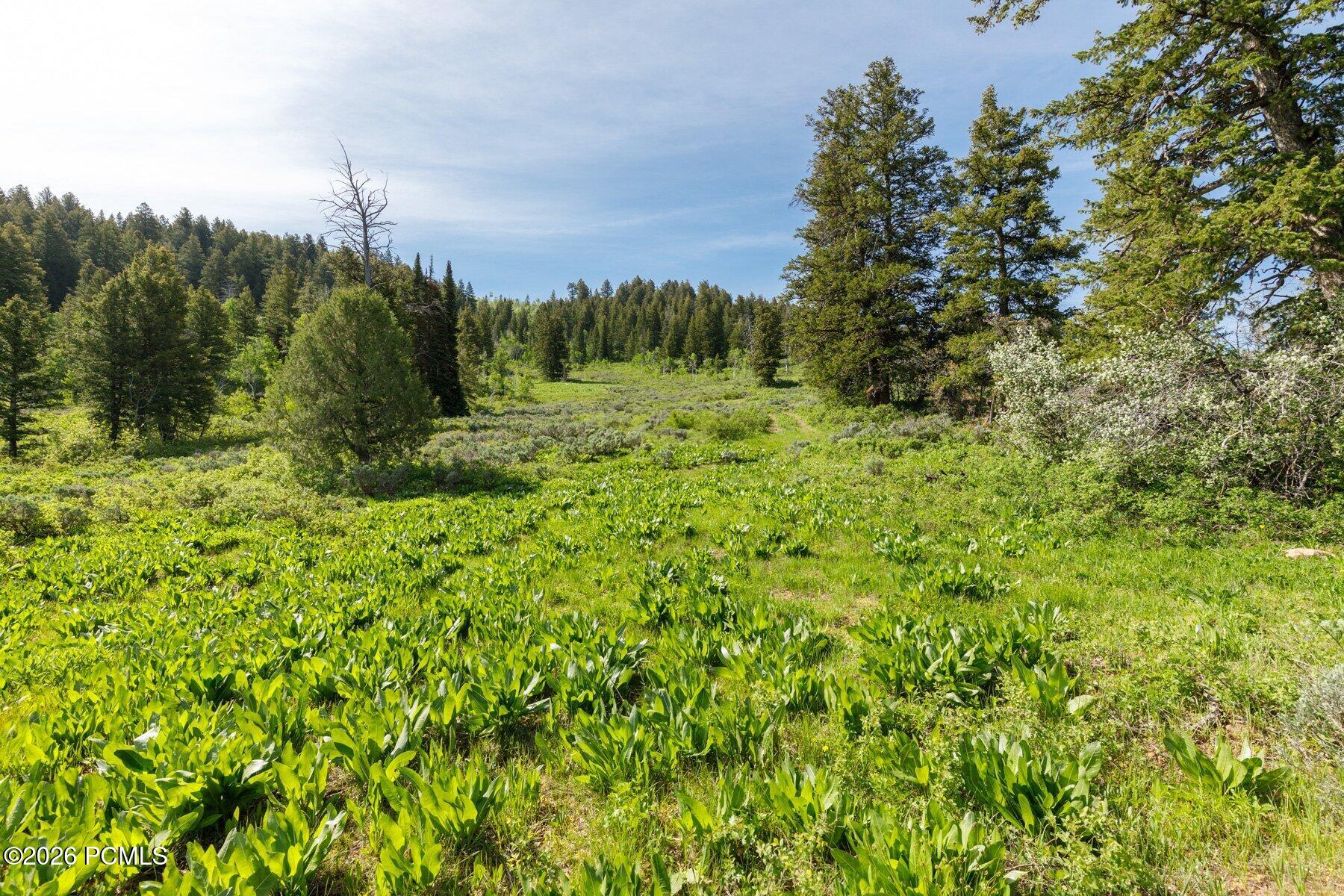 40 Sunridge Ranches