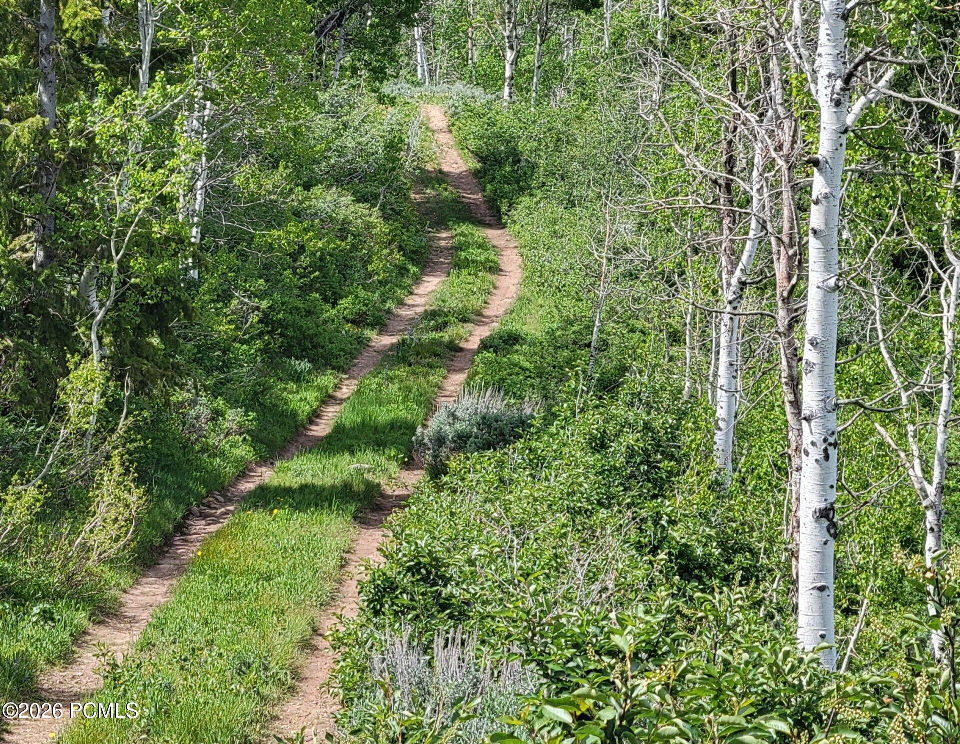 40 Sunridge Ranches
