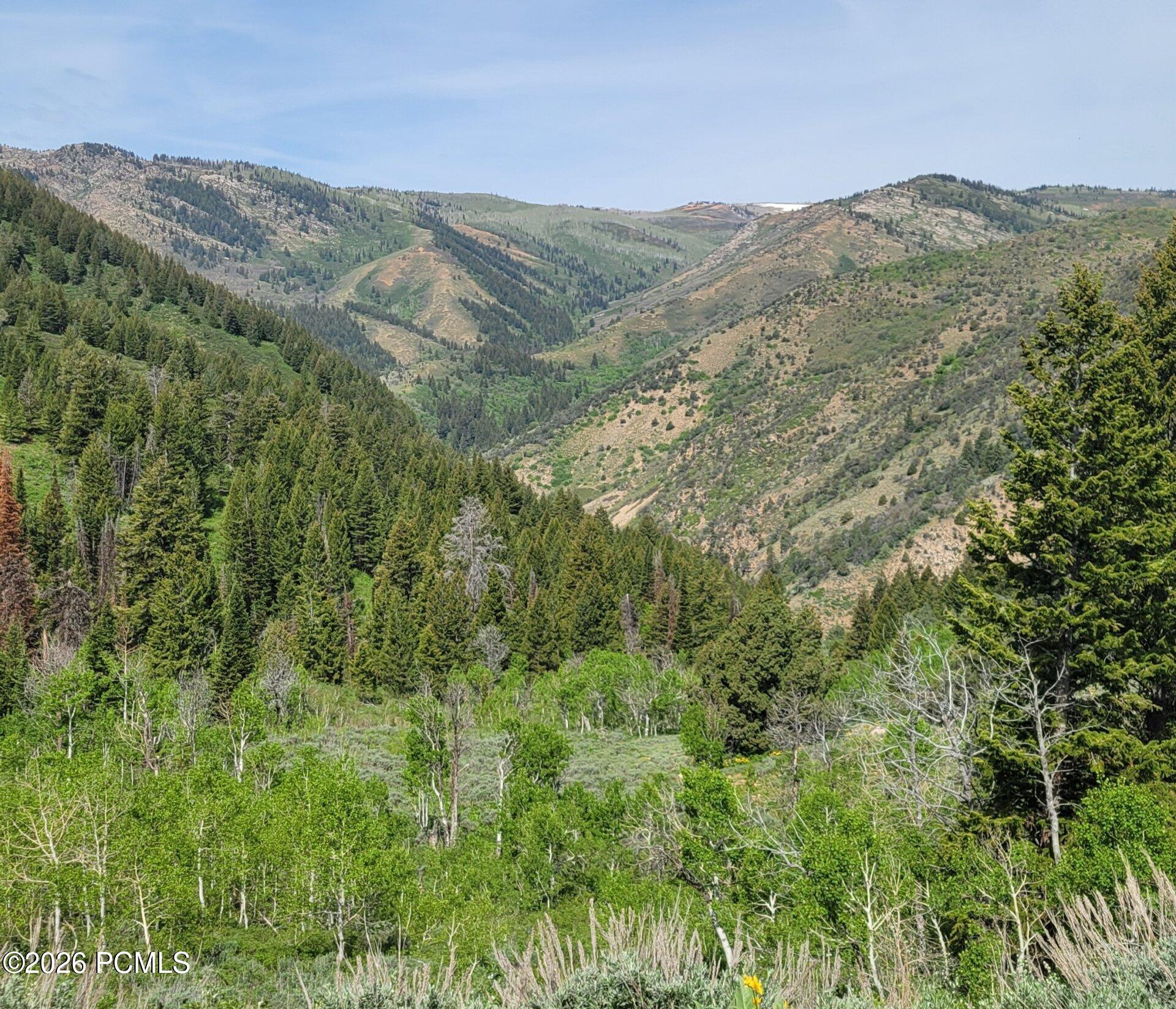 40 Sunridge Ranches