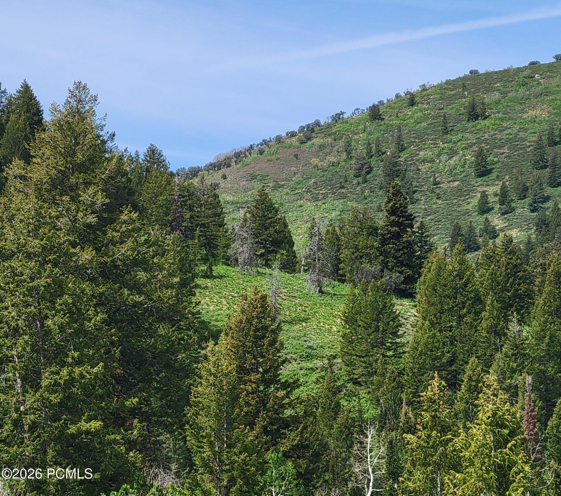 40 Sunridge Ranches