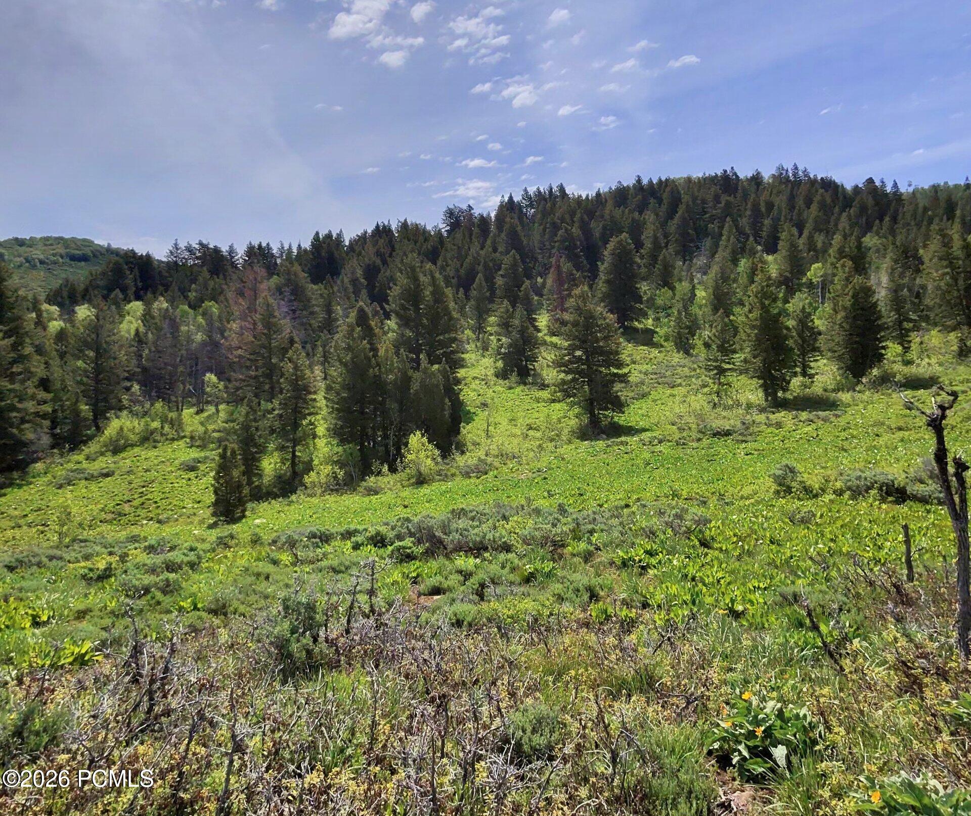 40 Sunridge Ranches
