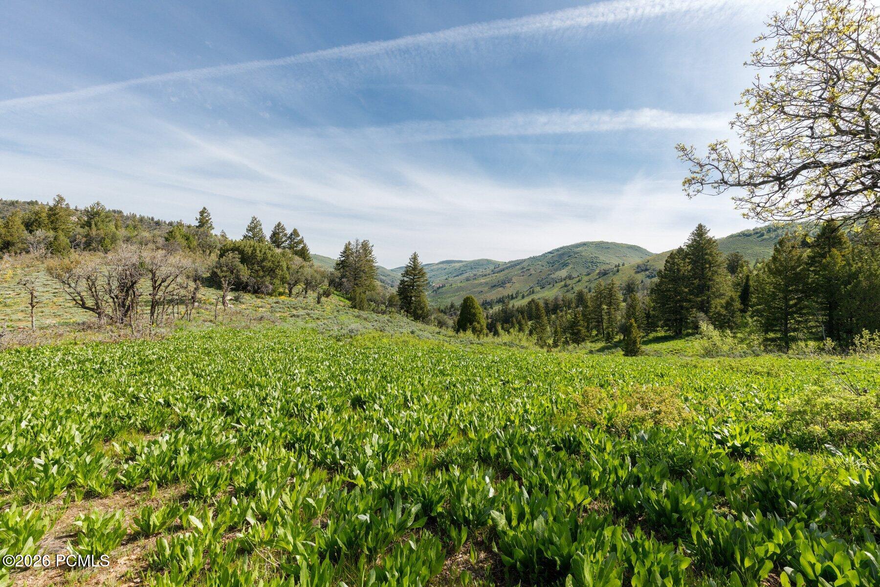 40 Sunridge Ranches