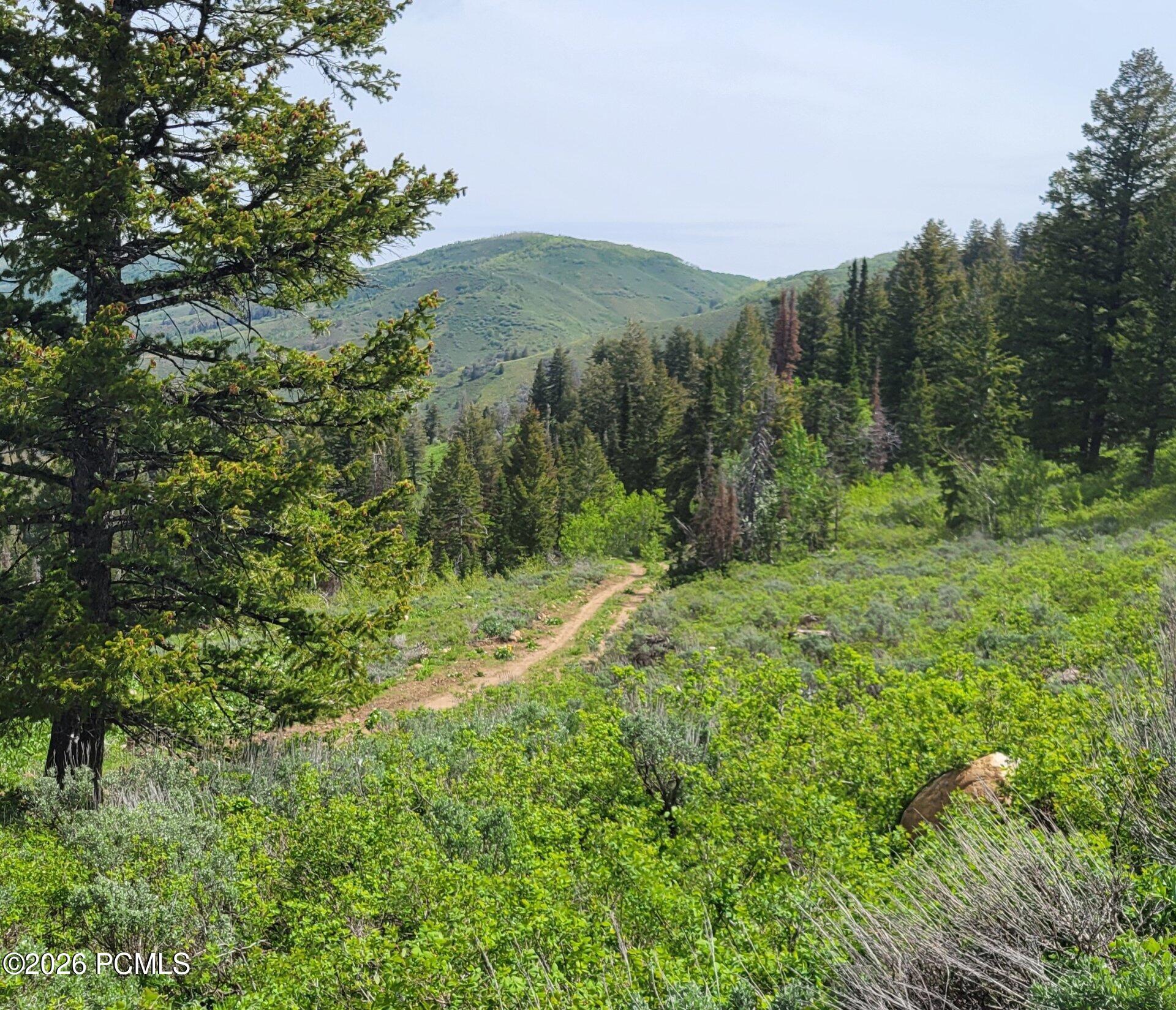 40 Sunridge Ranches