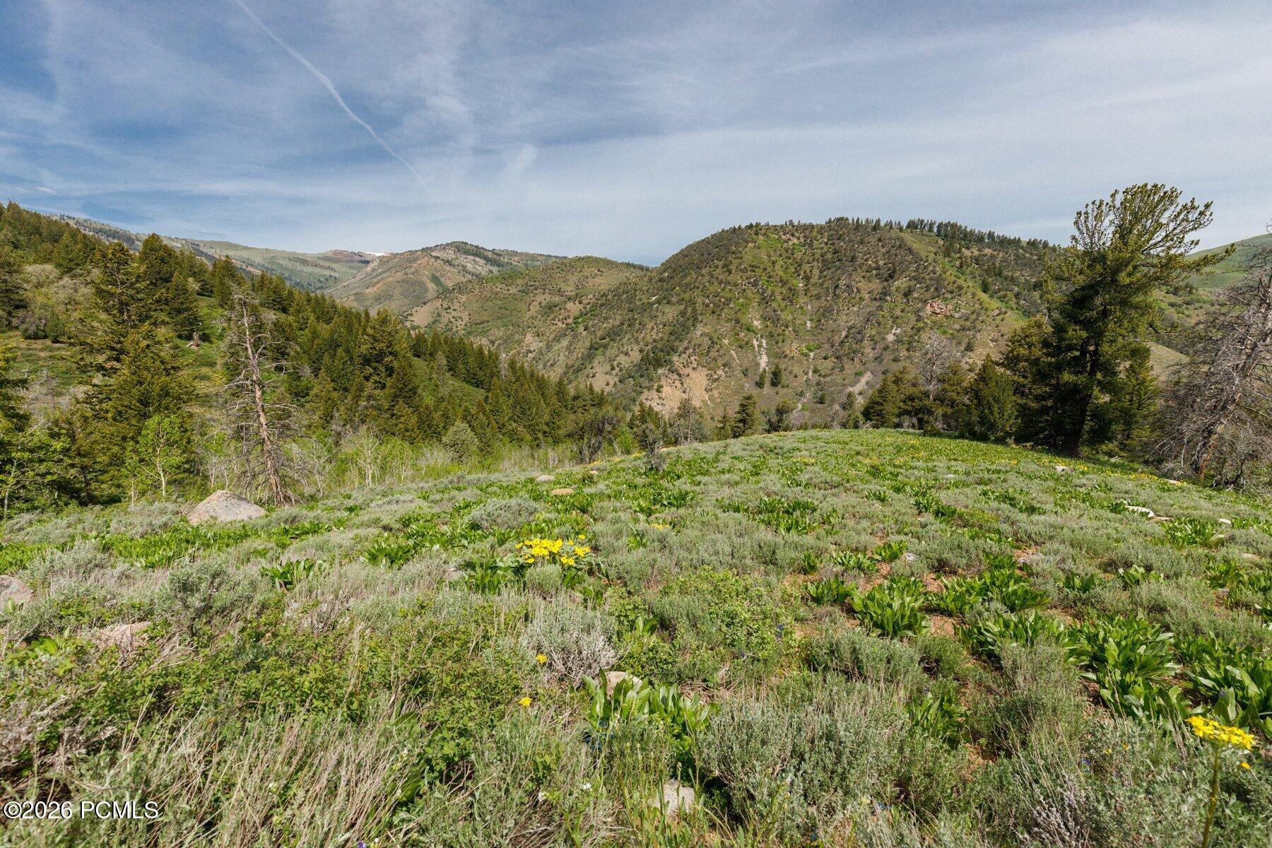 40 Sunridge Ranches