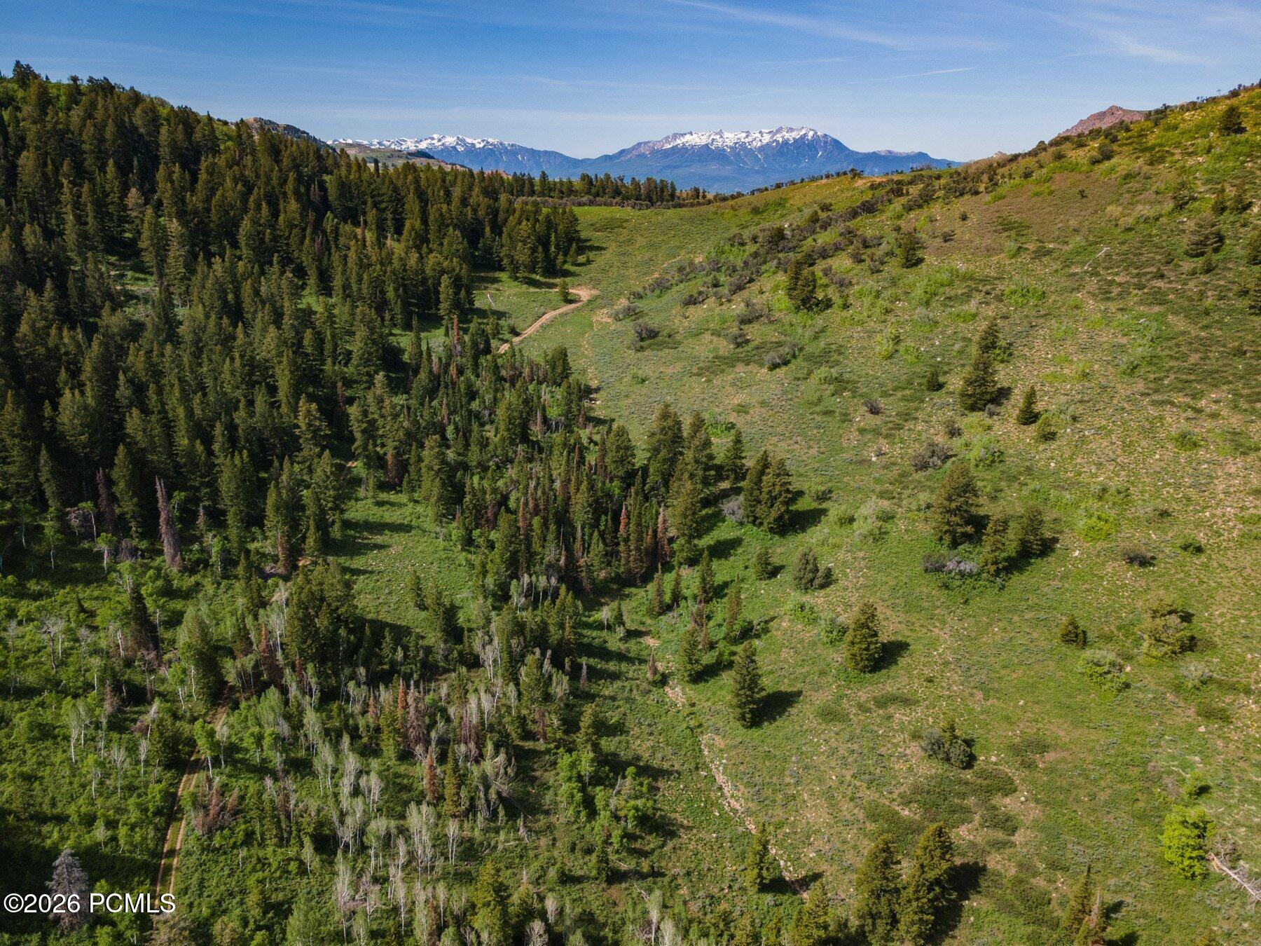 40 Sunridge Ranches
