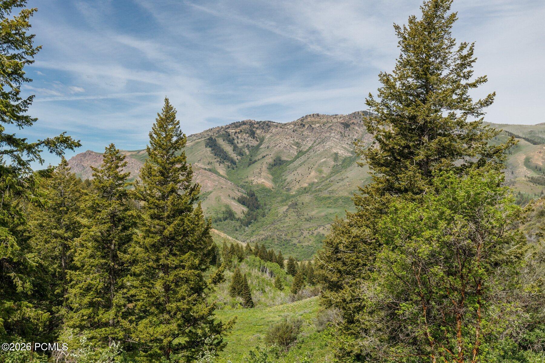40 Sunridge Ranches