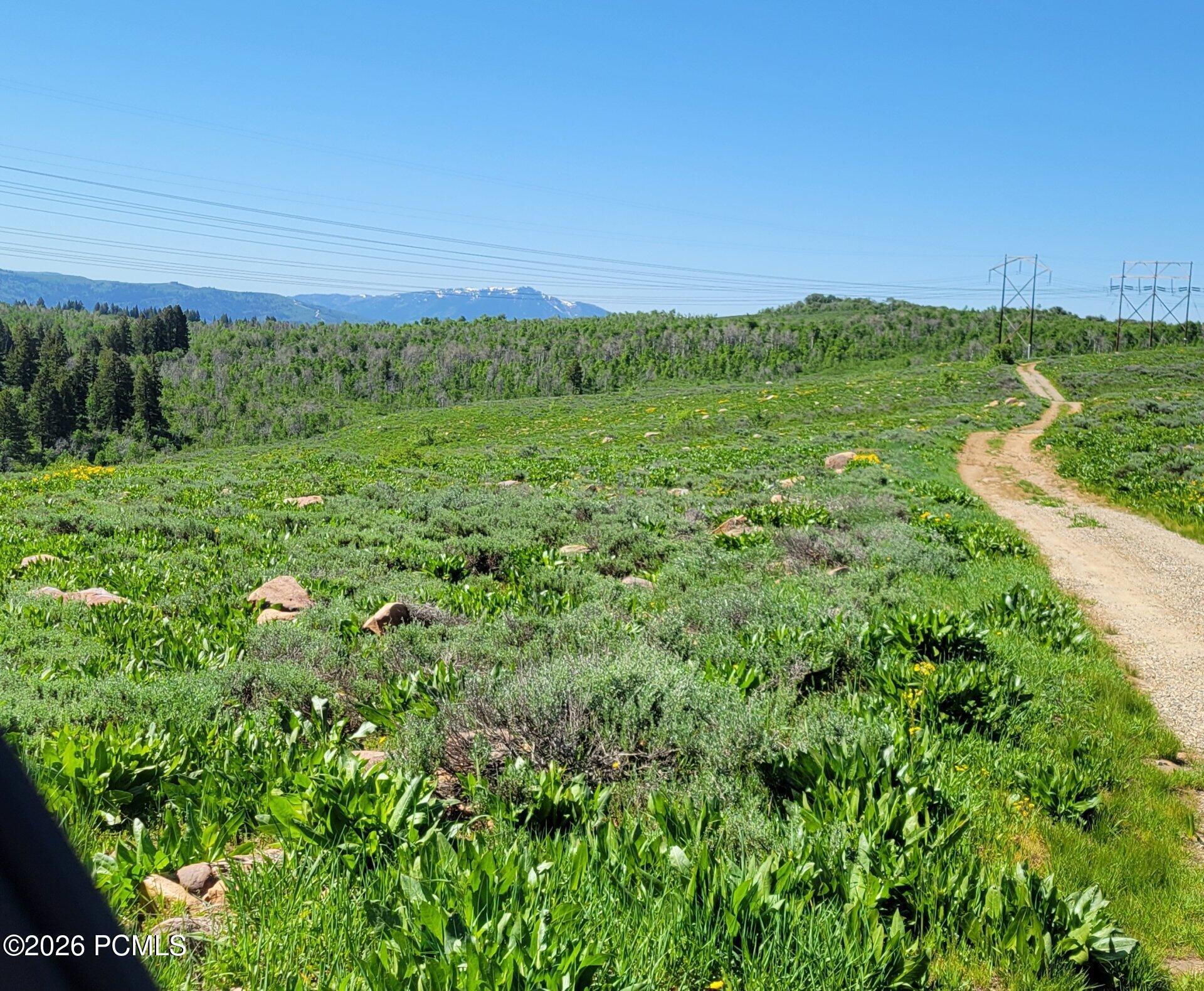 40 Sunridge Ranches
