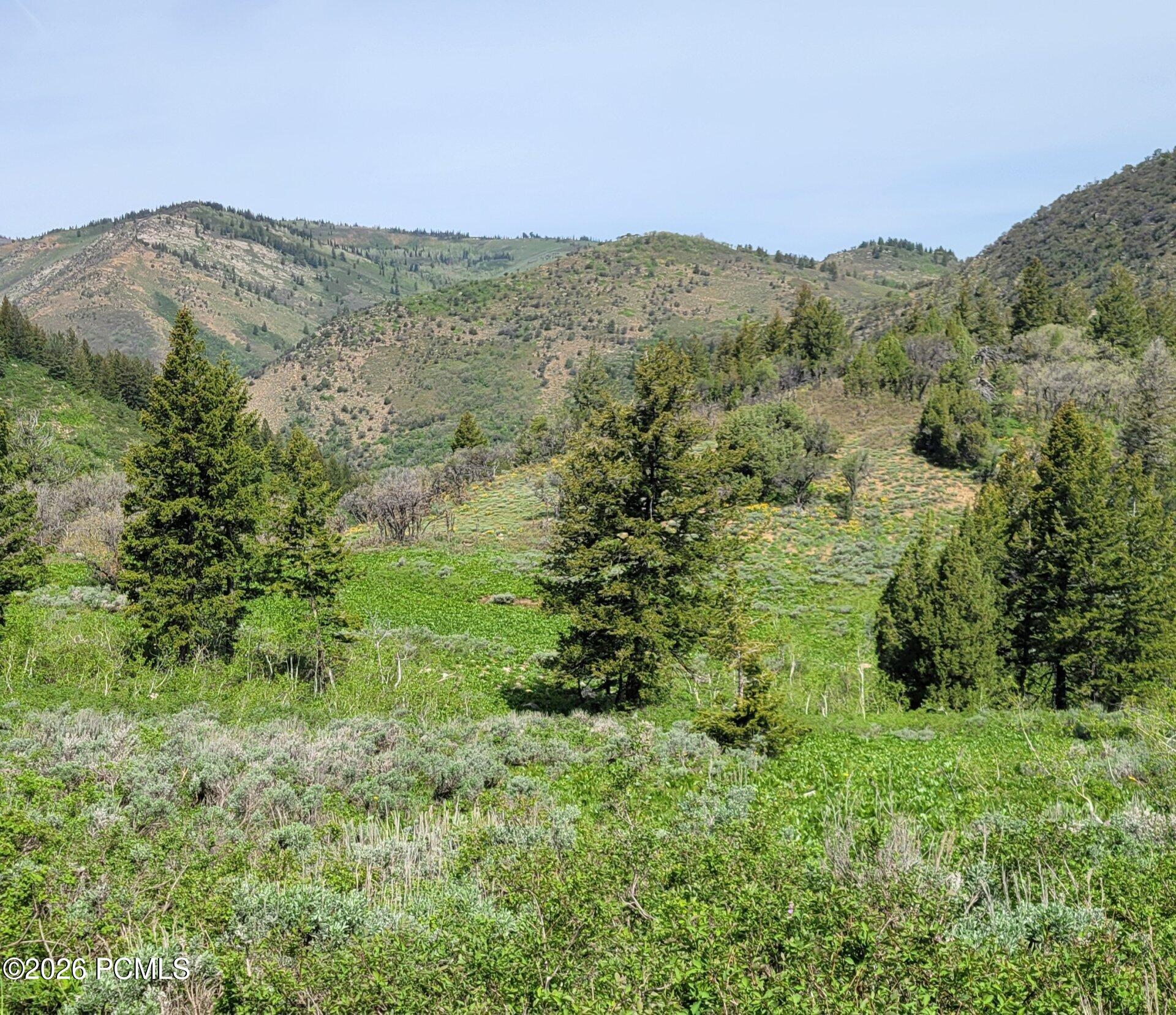 40 Sunridge Ranches