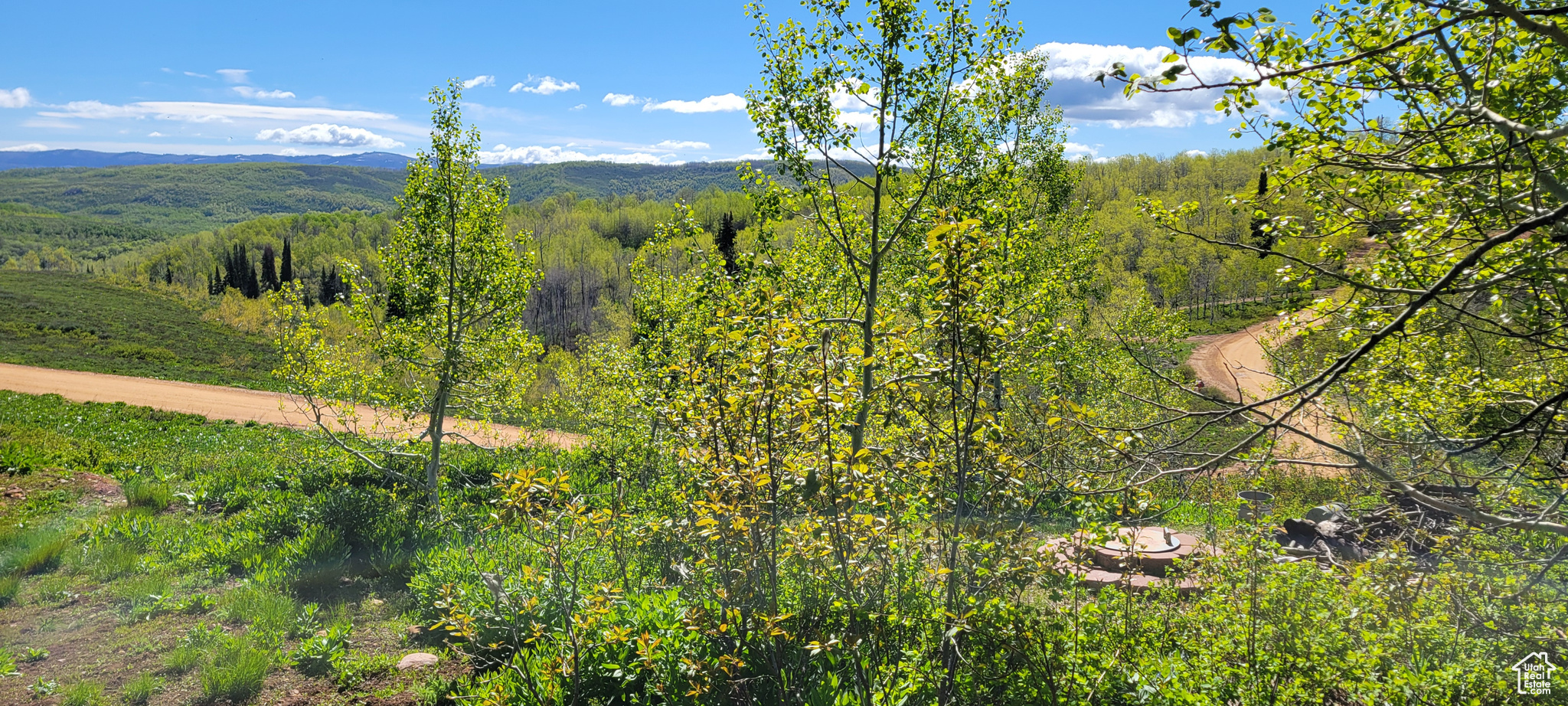 7699 JOHN FREMONT DR Unit: 176