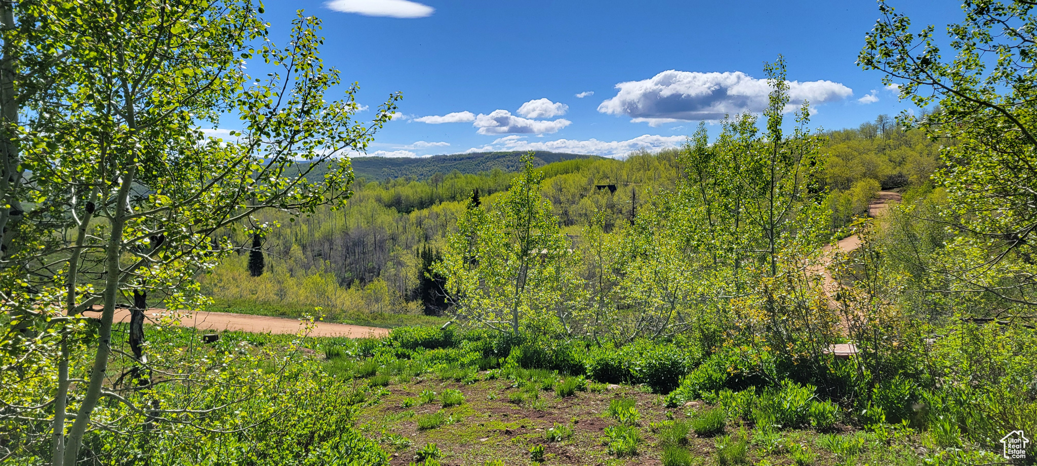 7699 JOHN FREMONT DR Unit: 176