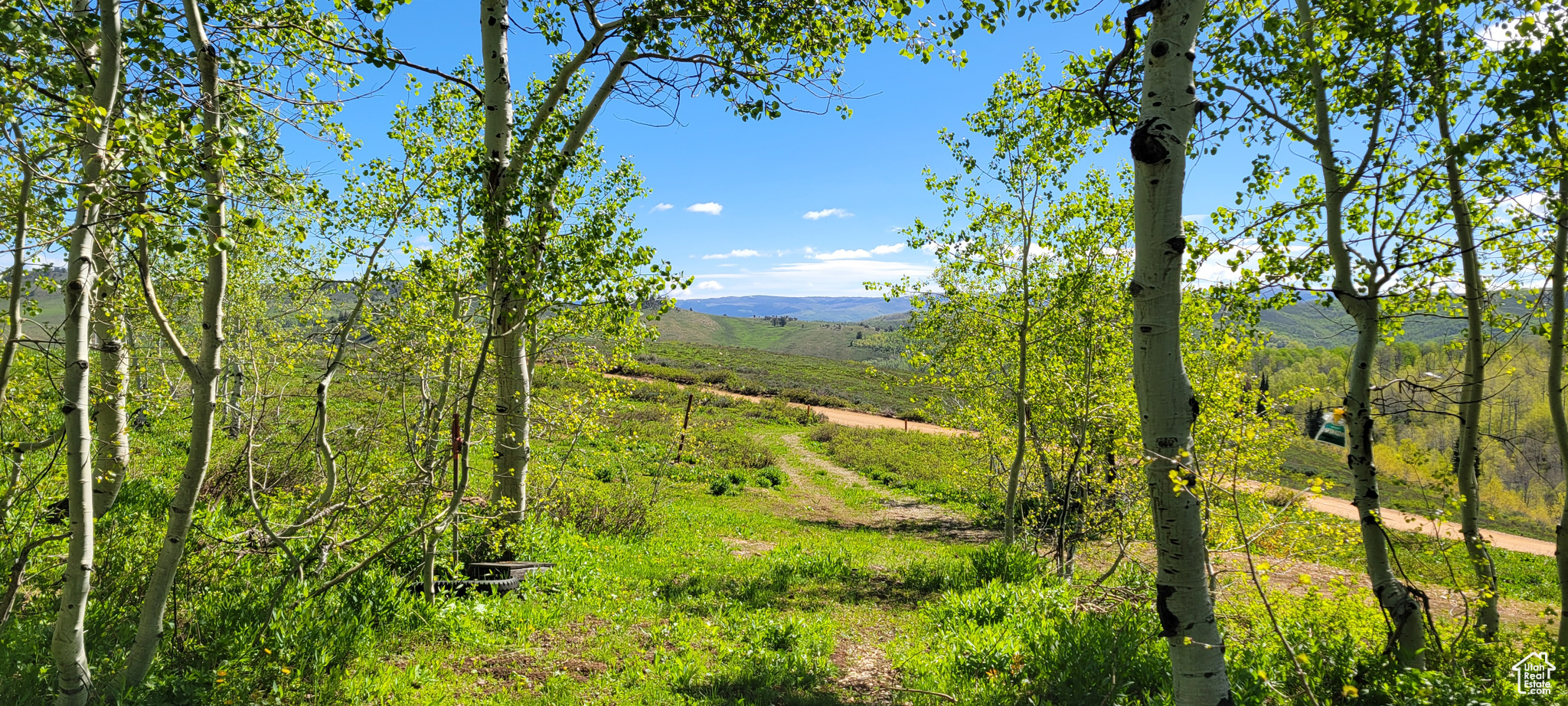 7699 JOHN FREMONT DR Unit: 176