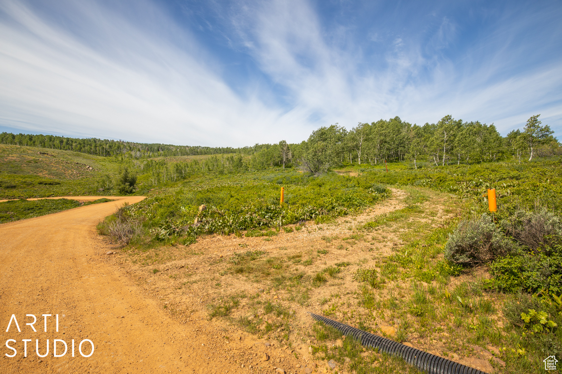 7699 JOHN FREMONT DR Unit: 176