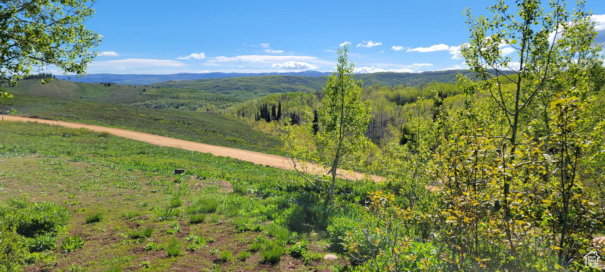 7699 JOHN FREMONT DR Unit: 176