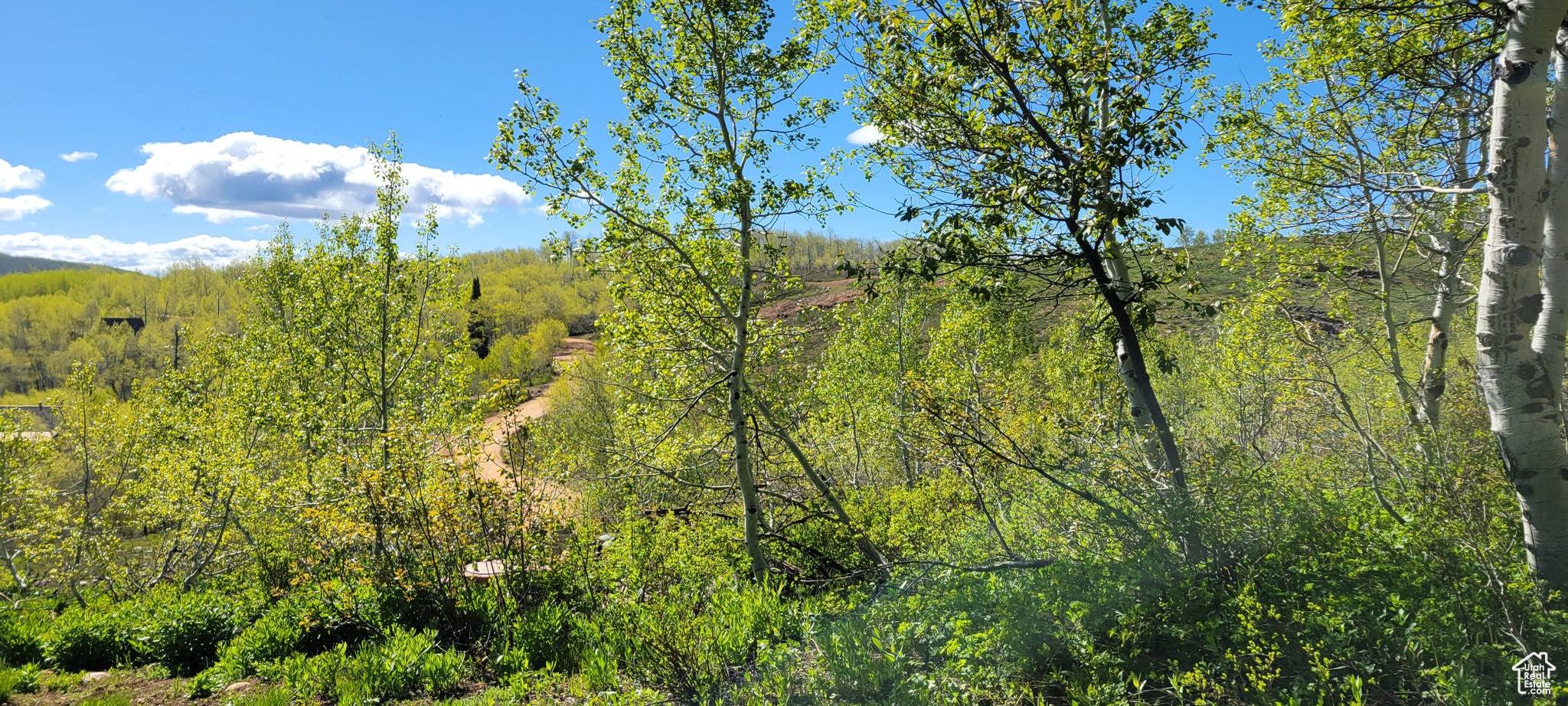 7699 JOHN FREMONT DR Unit: 176