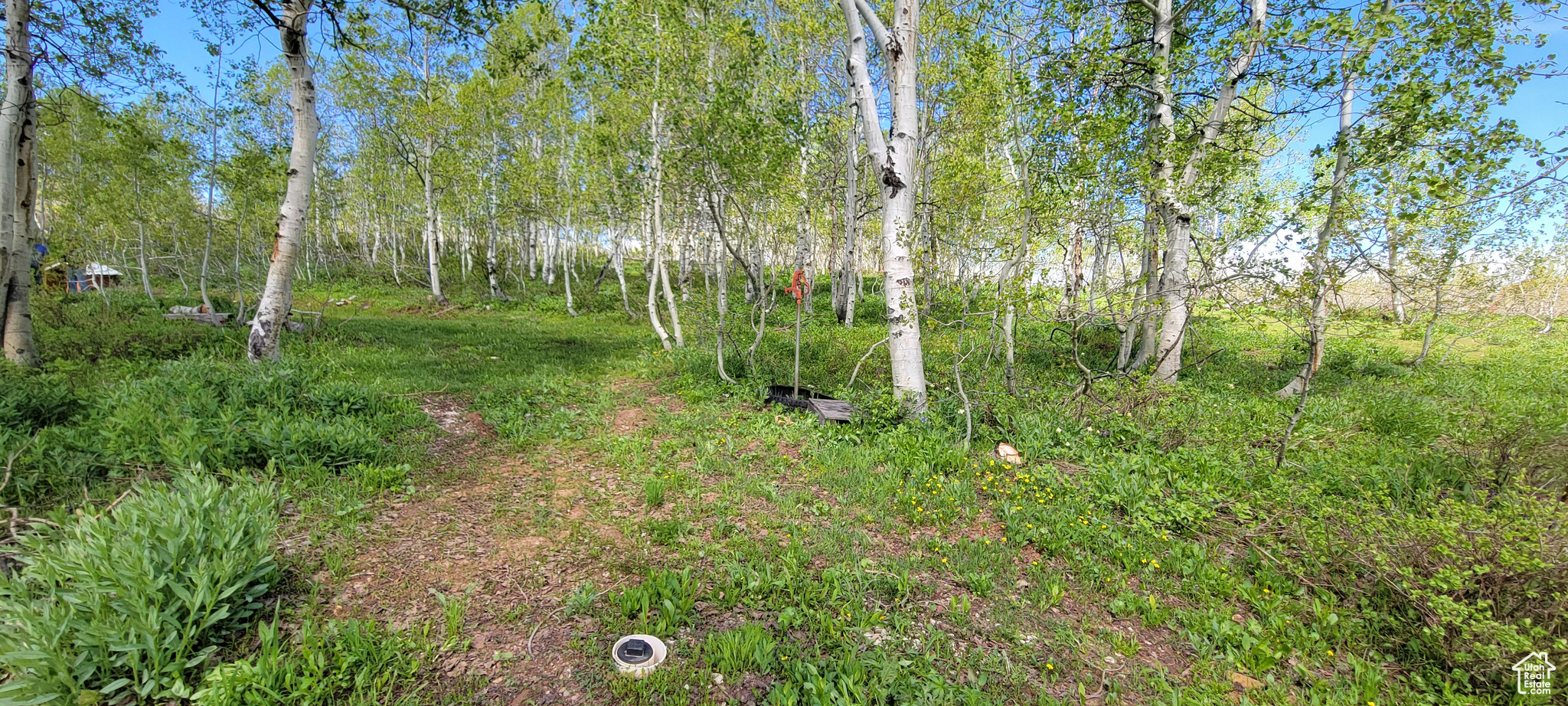 7699 JOHN FREMONT DR Unit: 176