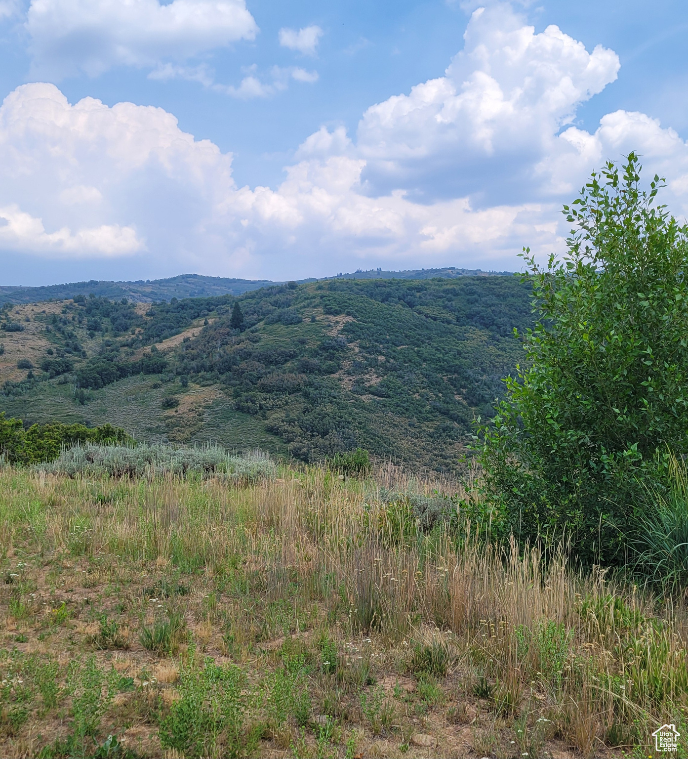 120 N BEAVER CREEK HOA Unit: 120
