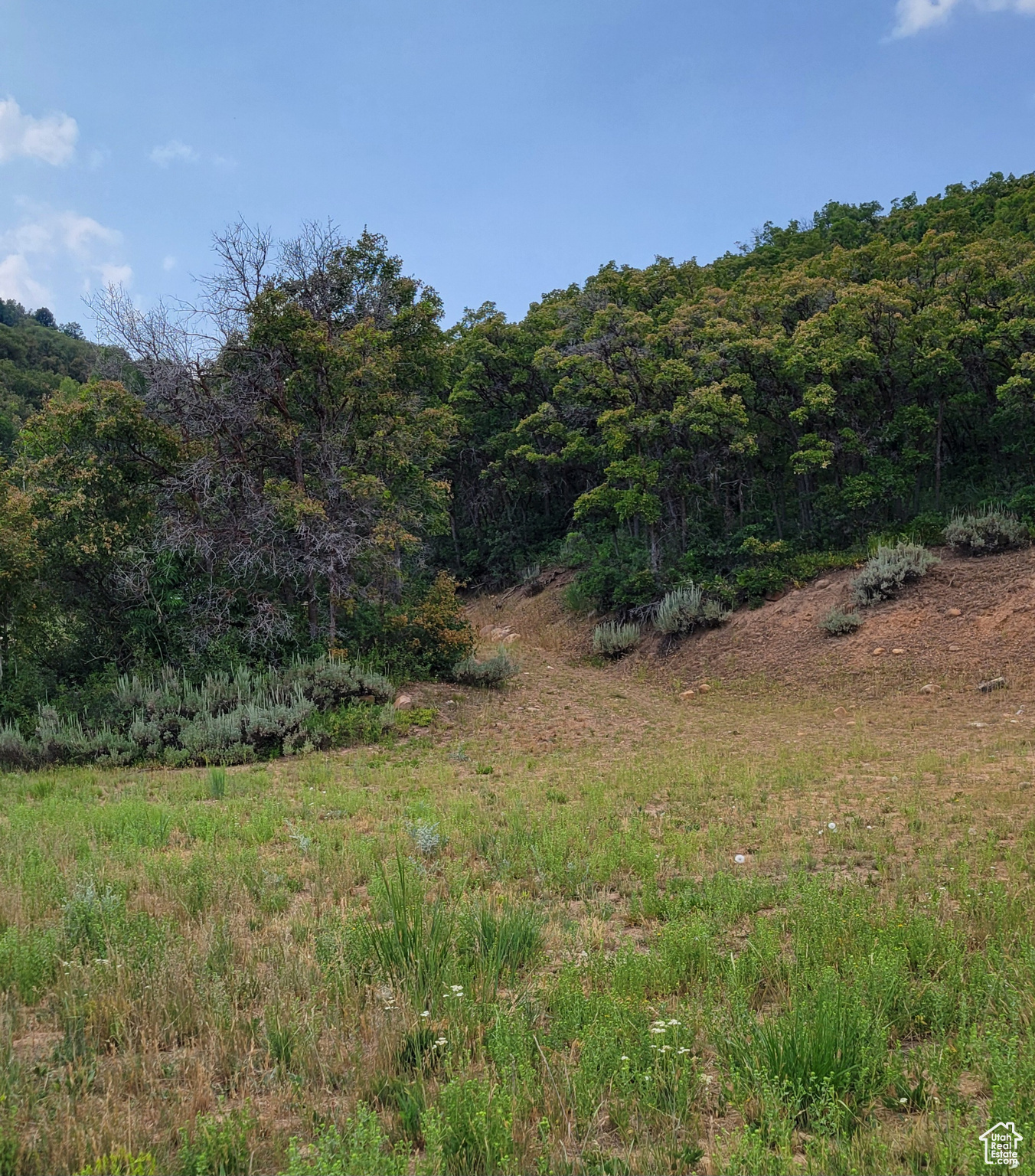 120 N BEAVER CREEK HOA Unit: 120